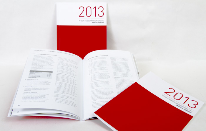 2013AnnualReport700x444px.jpg